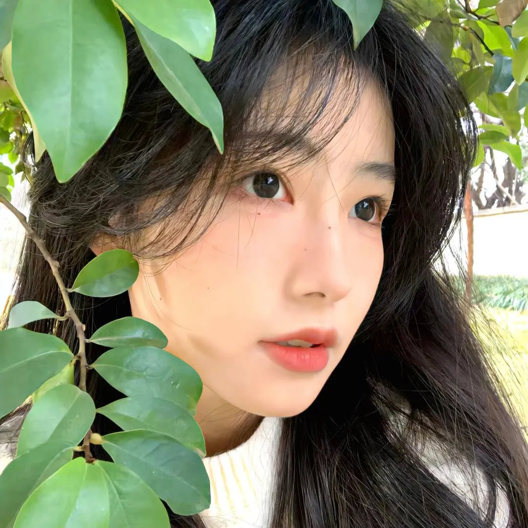 秋月